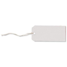 100 Pack - 120 x 60mm White Coloured Strung Tags