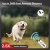 2024 Most Innovative Auto Anti-bark & Remote Training 2-in-1 Bark