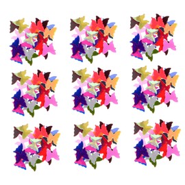 BIUDECO DIY Manicure Supplies 2 Boxes of Nail Glitters Butterfly Sequins Nail Art Charms