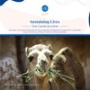 Aadvik Camel Milk Powder | Rich in Calcium for Strong