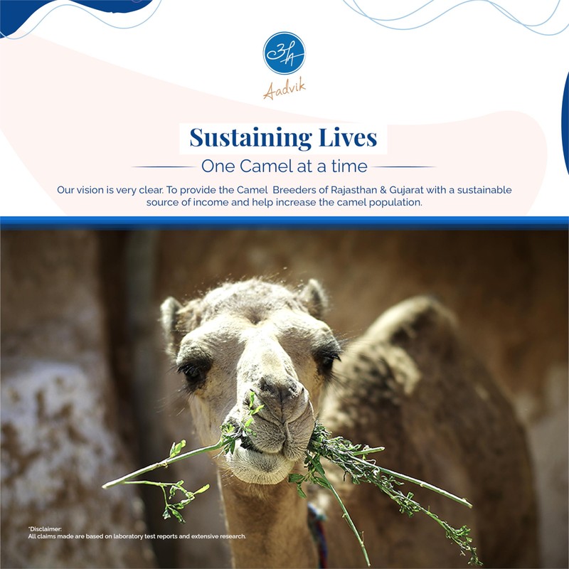 Aadvik Camel Milk Powder | Rich in Calcium for Strong