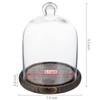 MyGift Clear Cloche Glass Dome, Display Bell Jar with Top