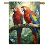 Pickako Two Macaws are Sitting on a Branch Spring Summer