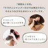 Plum Shampoo (Main Body) Plume Hair Care, For Hair Aging,