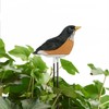 ZROSIN 2X Soil Moisture Meter Watering Alarm Bird Plant Water