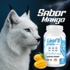 Creatina Glutamina Linx Fit 1kg 50 Servicios Varios Sabor