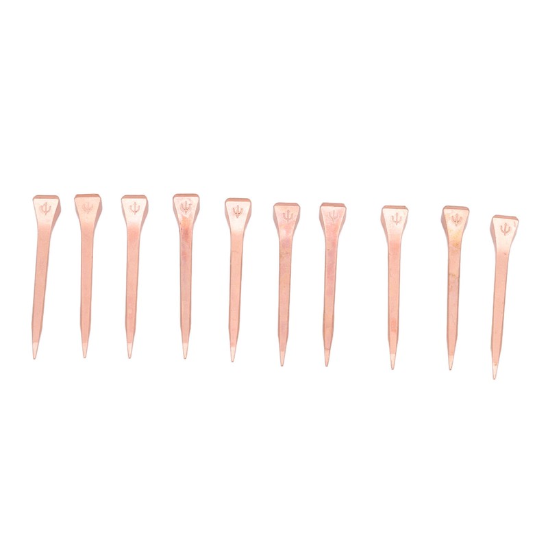 250Pcs Horseshoe Nails Copper Plating Shoeing Nails with Plastic Box