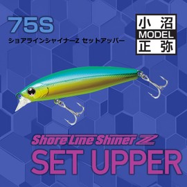 DAIWA Set Upper 75S Sea Bass Lure, Design: Mat Chart