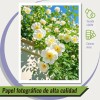 Papel Fotográfico A4 Kamo Glossy De 115gr 200 Hojas Color