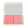 FOCALLURE Cheek Blusher Highlight Powder MultiFunctional Cosmetic Set Makeup Supplies(#2