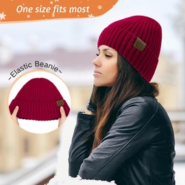 Unisex Satin Lined Beanie Warm Winter Hat Silk Lined Beanie for Women Men Knit Hat Slouchy Beanie Vine