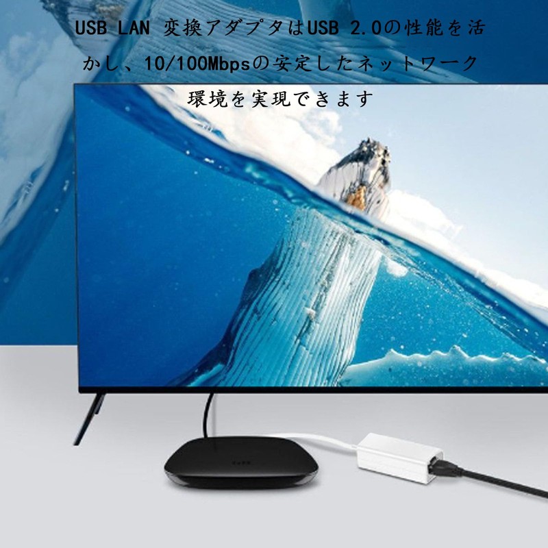 USB LAN Adapter USB To RJ45 100/10Mbps High Speed Wired