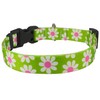 Green Daisy Dog Collar - Size Small 10" to 14" Long - Made In The USA