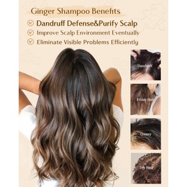 YANIBEST Anti-Dandruff Ginger Shampoo - Natural Organic Formula to Improve Scalp Environment, Clarify, Strengthen, Moisturize - Itch-Free