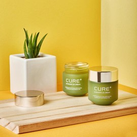 (현대홈쇼핑)김정문알로에 큐어 2X 크림 1+1+1 (총 3개) (Hyundai Home Shopping) Kim Jung-moon Aloe Cure 2X Cream 1+1+1 (Total 3 pieces)