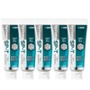 LION DENT. Systema SP-T Gel 85g (5 pieces)