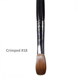 Six Angles - Black Handle Petal Kolinsky Acrylic Nail Brush for Manicure Powder (CRIMPED) - (Size #18)