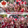 Dhjkko 100pcs Canada Souvenirs Flag Pins, Canadian Souvenirs Maple Leaf