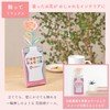 Sakura Crepas Colored Pencils, Re-Coopy RELAX with Coloring Card FY5RE-C