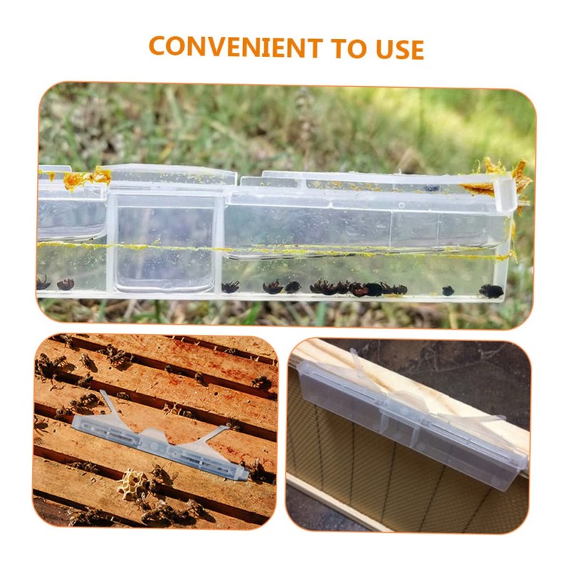 CIYODO 6pcs Clear Reusable Hive Beetle Traps Baitable Beetle Collecting