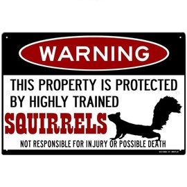 Kexle Squirrel Sign,Funny Metal Signs,Protected by Squirrels,Squirrels Warning Sign,Pet Squirrel,Beware of Squirrel Sign Tin Sign 8 X 12 Inches