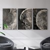 Renditions Gallery Circular Patterns Wall Art Monochrome Shadows Of Time