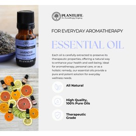 Plantlife Niaouli Aromatherapy Essential Oil - Straight from The Plant 100% Pure Therapeutic Grade - No Additives or Fillers - 10 ml