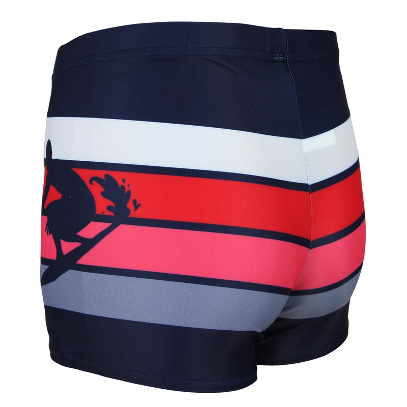 Aquarti Boys' Swimming Trunks Striped with Surfer Motif - 140