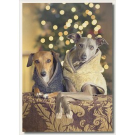 Palm Press Two Dogs in Sweaters Looking Over Back of Chair Christmas Card