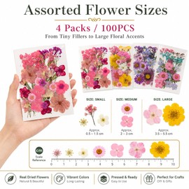 100 Stück Set di Fiori Essiccati – Fiori Pressati & Fiori Secchi Veri, Naturali per Fai Da Te, Resina DIY, Gioielli, Candele, Saponi, Scrapbooking, Carte & Decorazioni, Colorati Misti