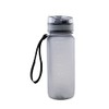 Fortuna Düsseldorf Tritan F95 Water Bottle Grey Transparent 0.65 L