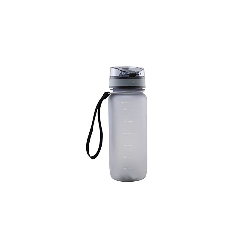 Fortuna Düsseldorf Tritan F95 Water Bottle Grey Transparent 0.65 L