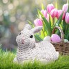 Hodao Set of 2 Woven Easter Bunny Figurines - 4.8"