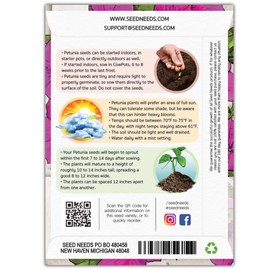 Seed Needs, Wild Petunia Seeds - 2,000 Heirloom Seeds for Planting Petunia violacea - Annual Flowers, Perfect for Beds, Borders, Pots & Containers (5 Packs)