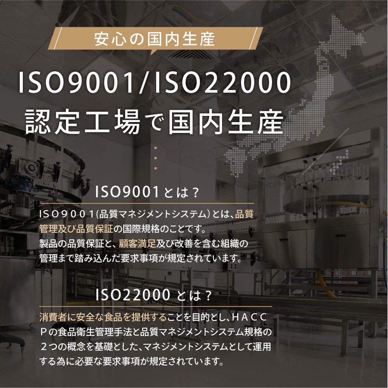 BCAA ザ・ブースト レモン風味 500g 国産 ULTORA ウルトラ