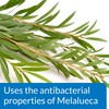 API POND MELAFIX Pond Fish Bacterial Infection Remedy, Safe For