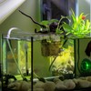 Hanging Aquarium Planter Cup, 1Pc Hanging Aquarium Planter with Hole,