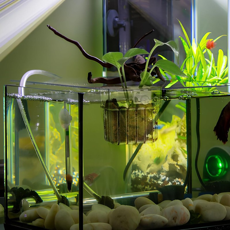Hanging Aquarium Planter Cup, 1Pc Hanging Aquarium Planter with Hole,
