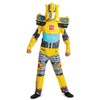 Disguise Bumblebee Eg Fancy Dress Int