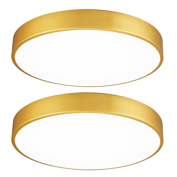 Wheatronic 2 Pack Gold LED Ceiling Light Fixture Flush Mount