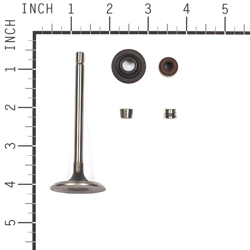 Briggs and Stratton 843730 Intake Valve