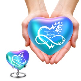 QGJNSGC Heart Shaped Urns for Human Ashes - Small Urns for Pet Ashes Heart Shaped Urn for Cat Dog Ashes Mini Urn - Small Keepsake Urn Cat Urn Dog Urn (Rainbow Infinity)