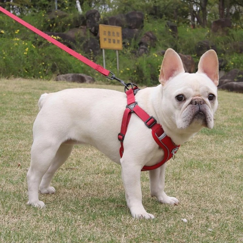 UNA MASCOTA Pechera Arnés Ajustable Triangulo Perros Raza Chica Mediana