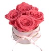 Rosmarie Schulz Heidelberg Rose Box, White Round Infinity Rose, Flower