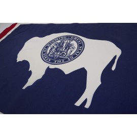 Allied Flag 3 x 5 FT Nylon Wyoming State Flag - Made in USA