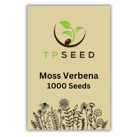 Moss Verbena Seeds -1000 Seeds Bulk Beautiful Outdoor Purple Perennial Flowers for Your Garden - Easy to Grow and Maintain