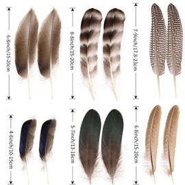 MehelloFeather Natural Pheasant Feathers 12Pcs Bulk Feathers 6 Style for DIY Crafts Hat Floral Arrangements Holiday Decoration
