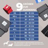 Nature Pet Hygiene Sanitary Pants for Female Dogs/ Pet Dog