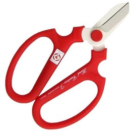 SakaHajime hand creation Kinko type F-170 left-handed