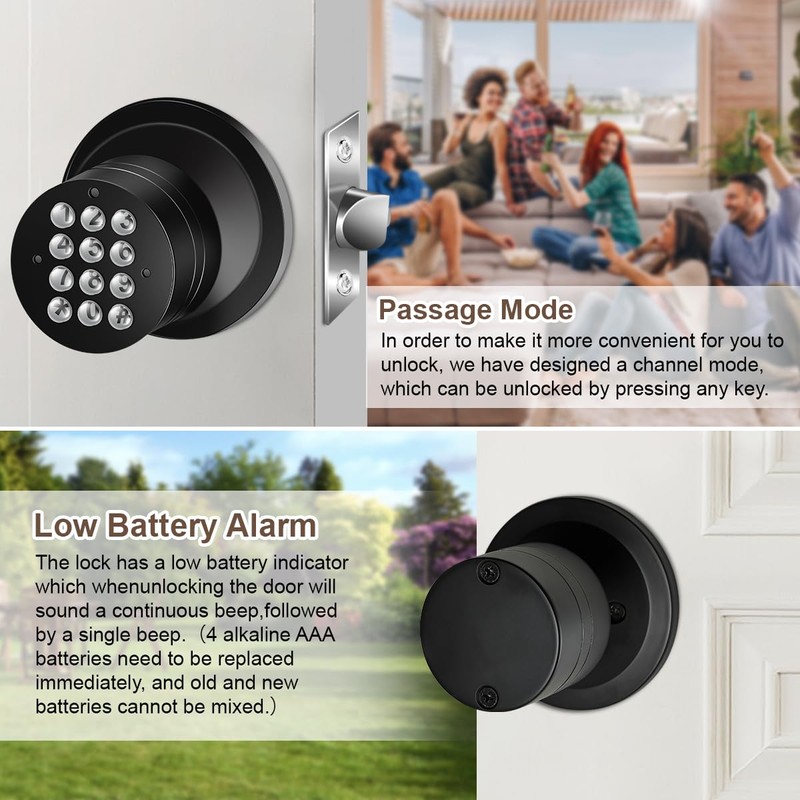 Door Knob with Keypad, Keyless Entry Door Lock, Black Electronic
